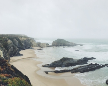 Beach near Cocoon