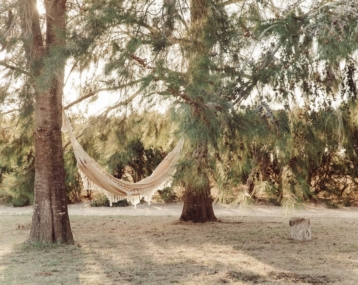 Hammock at Cocoon